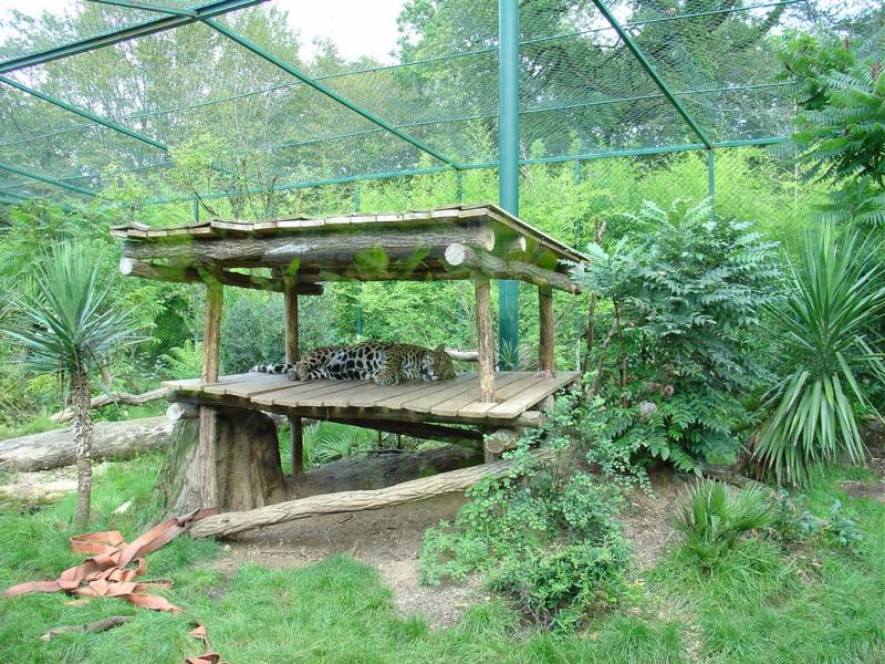 Jaguar