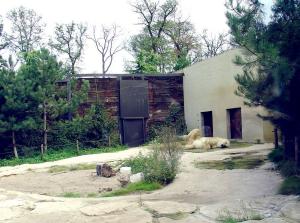 Ours polaire