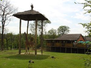 Plaine africaine