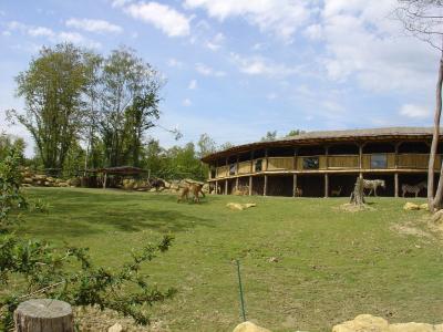 Plaine africaine - 2004