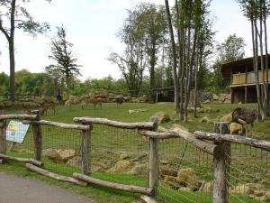Plaine africaine