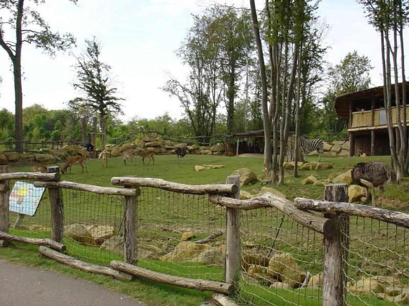 Plaine africaine