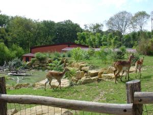 Plaine africaine