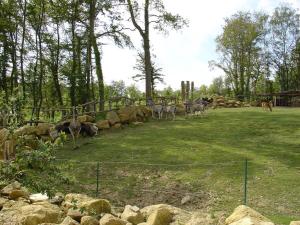 Plaine africaine