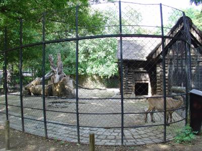 Tur du Caucase - 2006