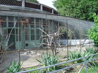 Perruche nanday - 2006