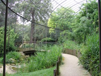 La grande volière - 2006