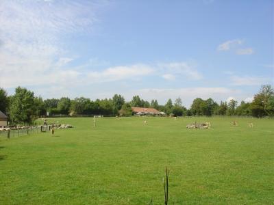 Plaine africaine - 2004