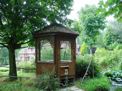 Tamarin pinché - 2004