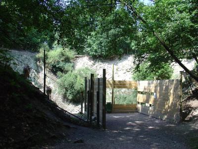 Mouflon à manchettes - Singe Magot - 2004