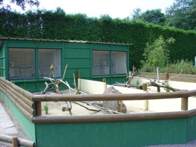 Ara rubogenys - 2004