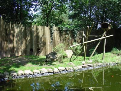 Maki vari roux - 2004