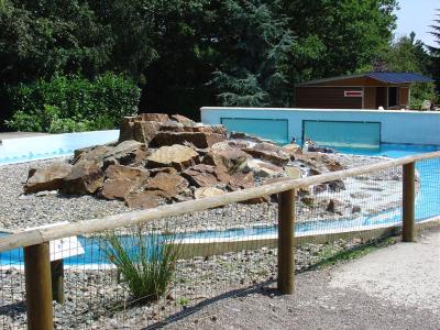 Manchot de Humboldt - 2004