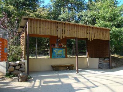 Loup à crinière - 2011