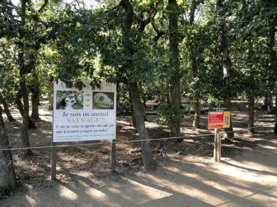 Parc des lémuriens - 2011