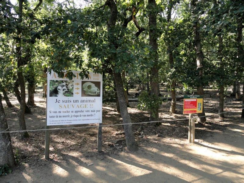 Parc des lémuriens