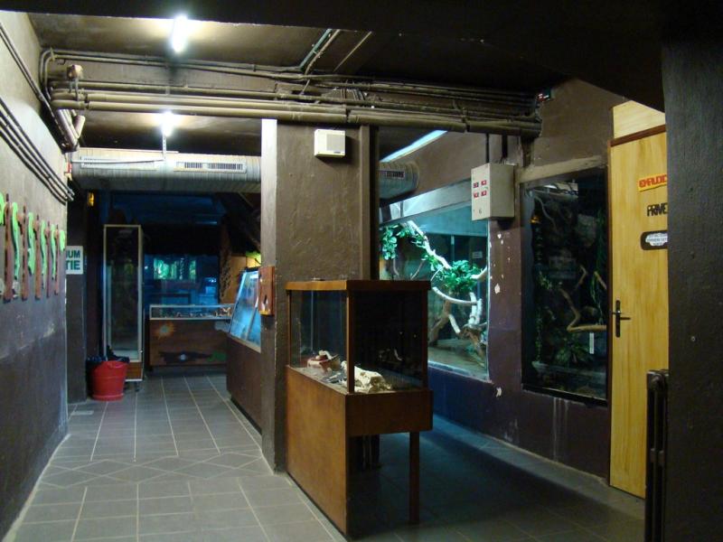 Le vivarium