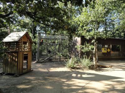 Le parc des lémuriens - 2011