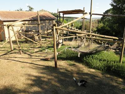 Colobe guéréza - 2011