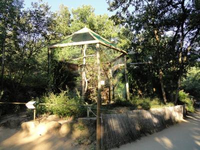 Hibou Grand-Duc - 2011