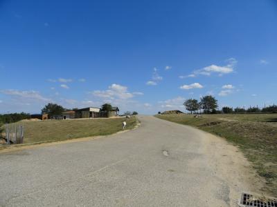 Plaine africaine - 2011