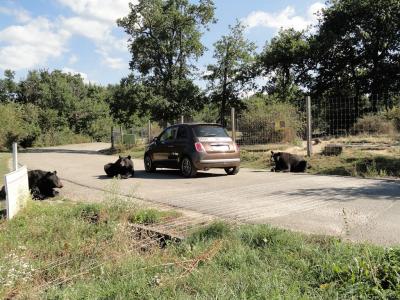 Entrée zone américaine - 2011