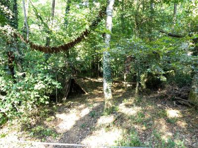 Poudou des Andes - 2019