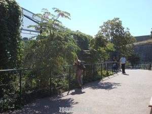 Volière des oiseaux d'eau