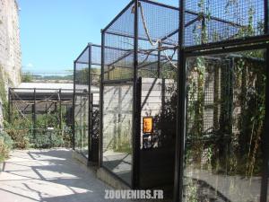 Volères des oiseaux