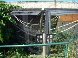 Volière des oiseaux