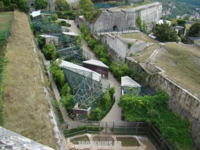 Vue générale des cages des singes