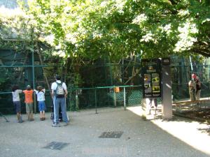 Secteur des petits singes