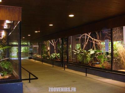 Volières oiseaux - 2009