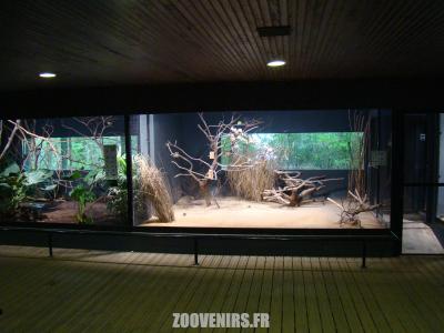 Volières oiseaux - 2009