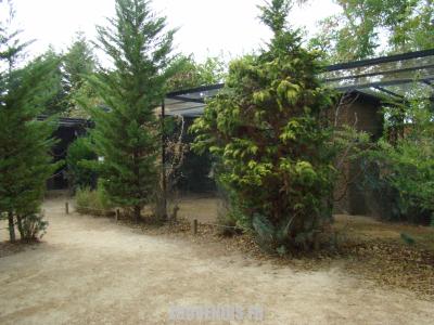 Volière des Perroquets - 2009