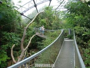 Volière du Pantanal