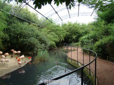 Volière du Pantanal - 2009