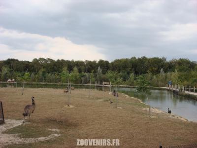 Enclos australien - 2009