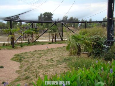 Volière australienne - 2009