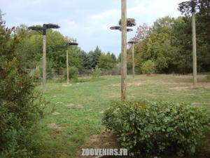 Cigogne