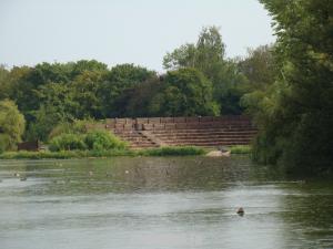 Spectacle des oiseaux en vol libre