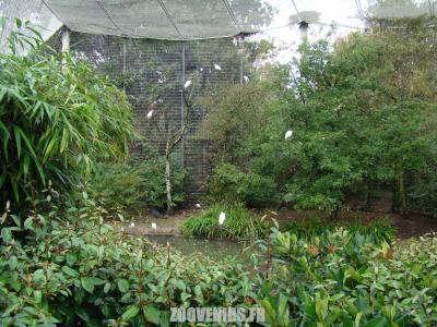 Volière asiatique - 2009