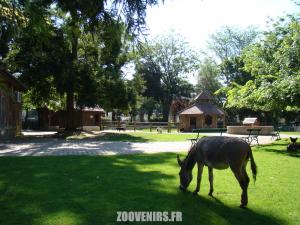 Mini-ferme