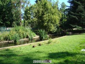 Petit ruisseau
