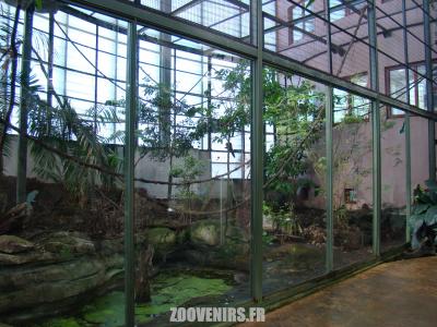 Saki - Trogon à queue noire - Tamarin de Goeldi - 2010