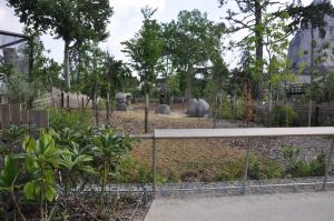 Amazonie  -  Guyane