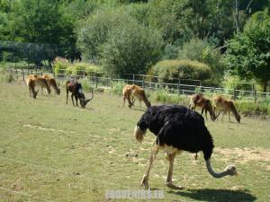 La visite de 2009