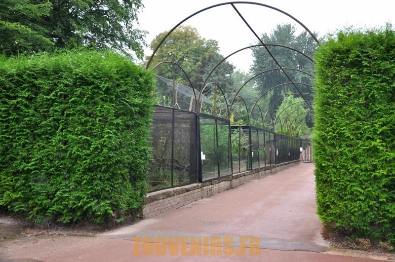 Volières