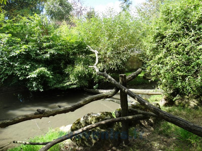 Volière  "Les ailes du Monde"