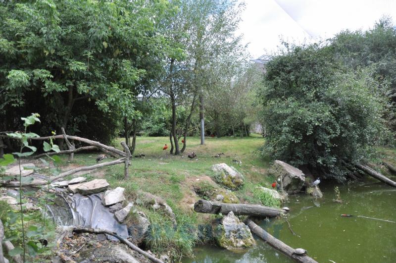 Volière  "Les ailes du Monde"